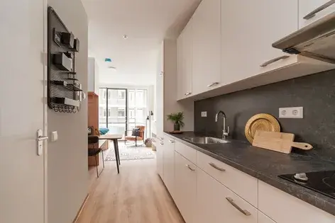 1 room apartment of 24m² in Rotterdam