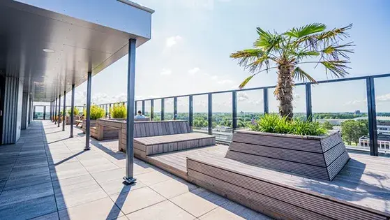 1 room apartment of 24m² in Rotterdam